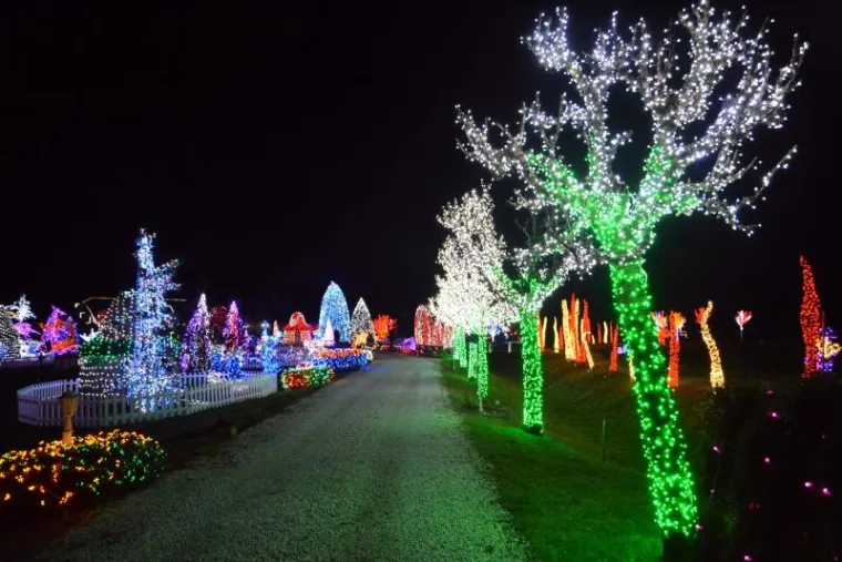 PONOVNO ODU&Scaron;EVILI: Milijuni lampica osvjetlili imanje obitelji Salaj, pogledajte čaroliju!