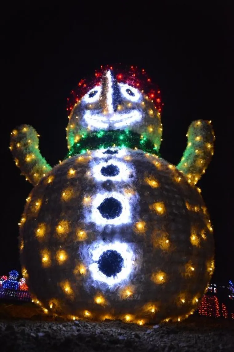 PONOVNO ODU&Scaron;EVILI: Milijuni lampica osvjetlili imanje obitelji Salaj, pogledajte čaroliju!