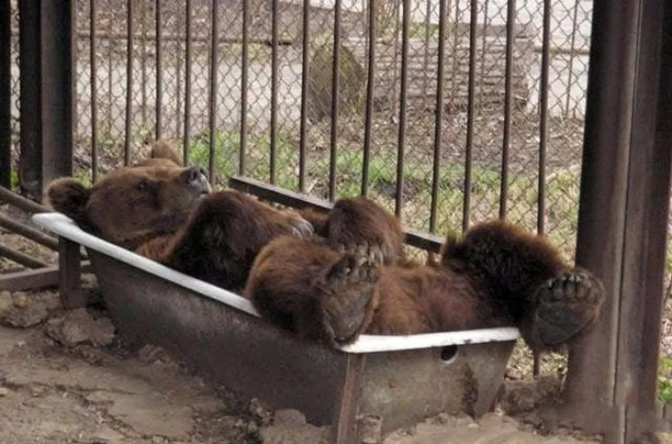 E PA RUSIJO, SAD SI STVARNO PRETJERALA! Evo kako izgleda zemlja u kojoj teče alkohol umjesto vode
