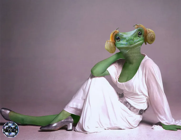 OVA ŽABA JE ISTA PRINCEZA LEIA! Ljudi su malo skrenuli, pogledajte njihove fotomontaže