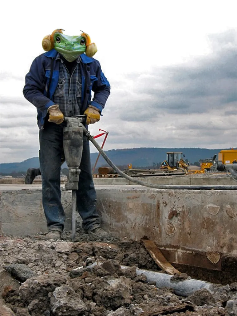 OVA ŽABA JE ISTA PRINCEZA LEIA! Ljudi su malo skrenuli, pogledajte njihove fotomontaže