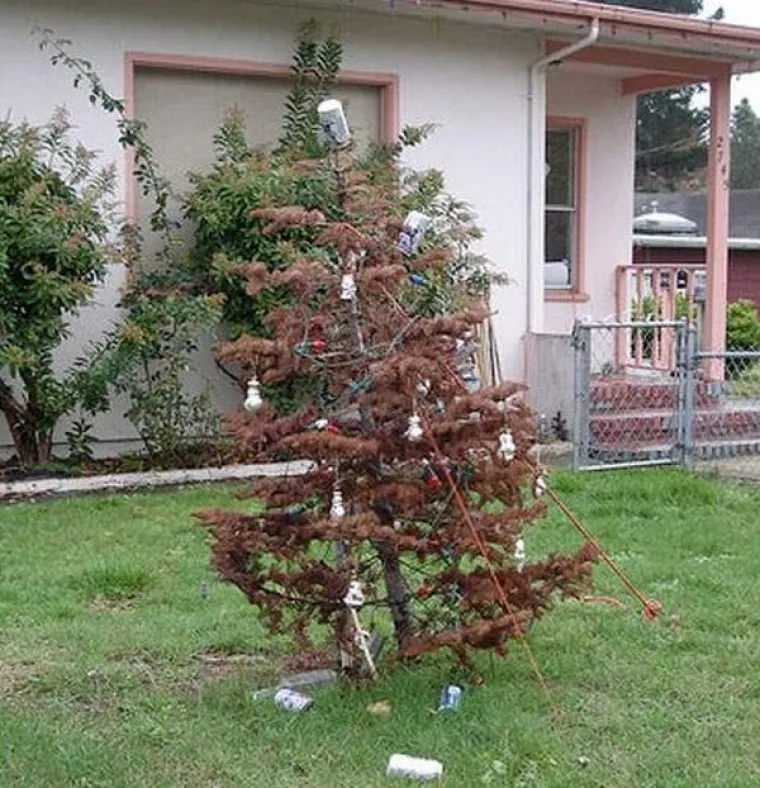 NEZGODE KOJE VAM MOGU UPROPASTITI BOŽIĆ: Čuvajte jelku i uštedite si vremena i živaca