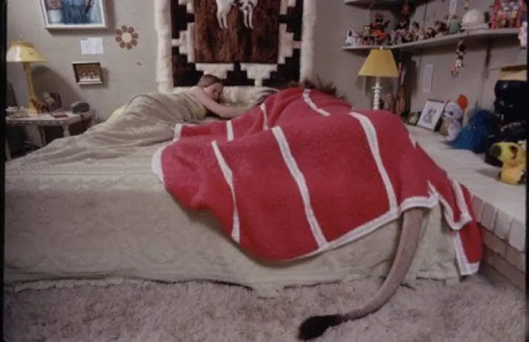 NAJGORI ILI NAJBOLJI RODITELJI? Djeci dali da se igraju s lavovima, krokodilima, udavima... znaju li ne&scaron;to &scaron;to mi ne znamo?