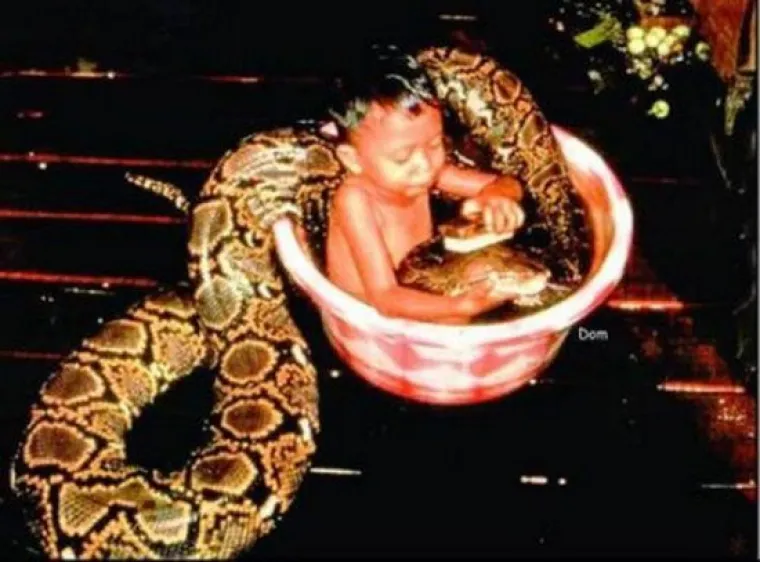 NAJGORI ILI NAJBOLJI RODITELJI? Djeci dali da se igraju s lavovima, krokodilima, udavima... znaju li ne&scaron;to &scaron;to mi ne znamo?