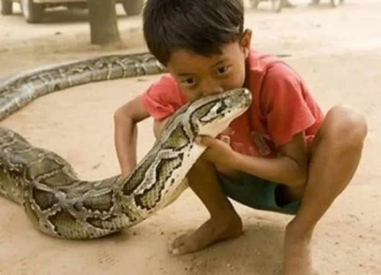 NAJGORI ILI NAJBOLJI RODITELJI? Djeci dali da se igraju s lavovima, krokodilima, udavima... znaju li ne&scaron;to &scaron;to mi ne znamo?