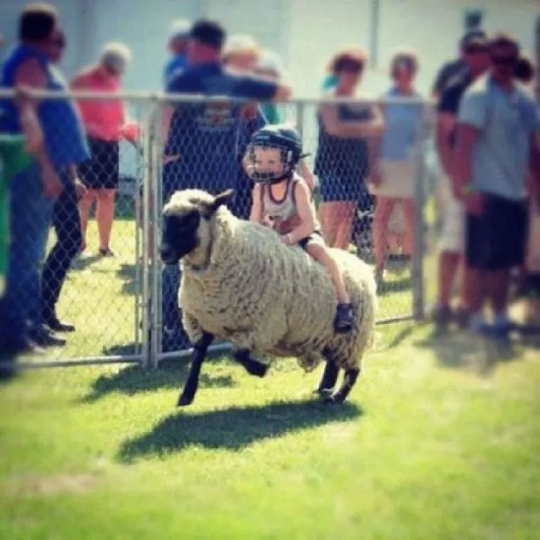 NAJGORI ILI NAJBOLJI RODITELJI? Djeci dali da se igraju s lavovima, krokodilima, udavima... znaju li ne&scaron;to &scaron;to mi ne znamo?