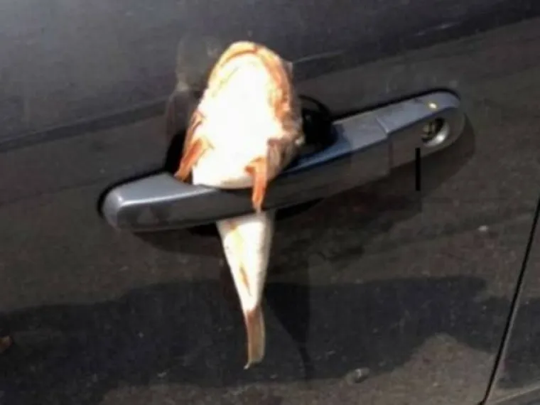 BOLI NJIH BRIGA ZA DRUGE: Parkirali se kao najveće seljačine pa dobili &scaron;to su zaslužili