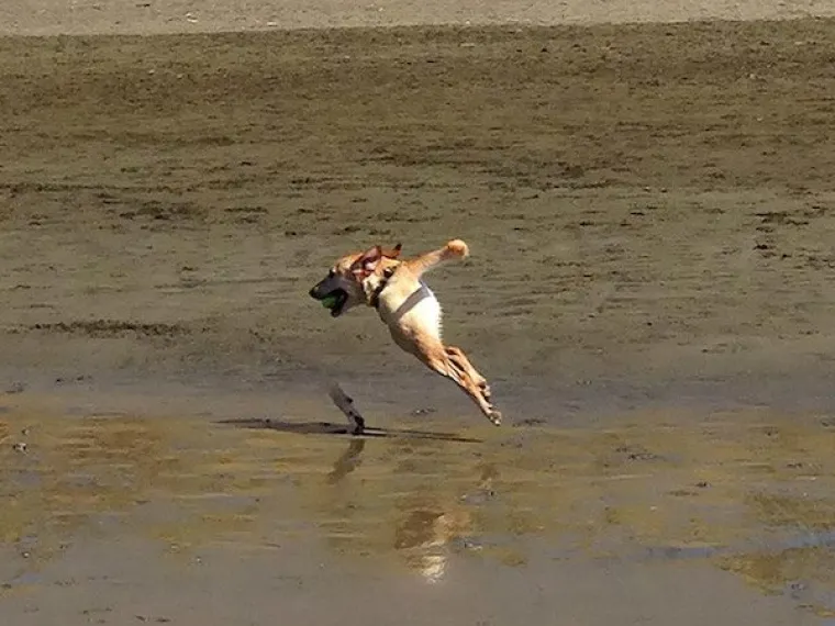 STVORILI SMO ČUDOVI&Scaron;TA! Jesu li ljudi oti&scaron;li predaleko? Provjerite u uznemirujućoj galeriji