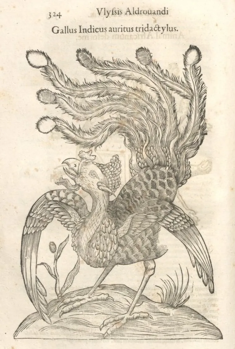 Popis čudovi&scaron;ta prvog prirodoslovca otkriva i neka stvarna bića