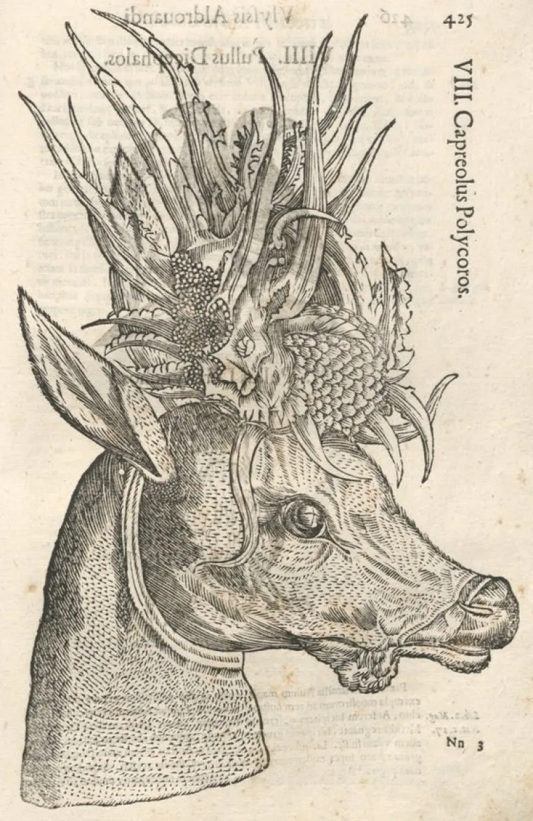 Popis čudovi&scaron;ta prvog prirodoslovca otkriva i neka stvarna bića