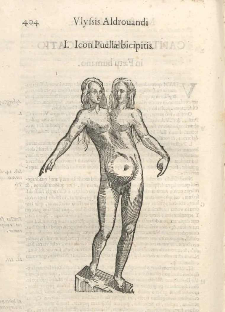 Popis čudovi&scaron;ta prvog prirodoslovca otkriva i neka stvarna bića