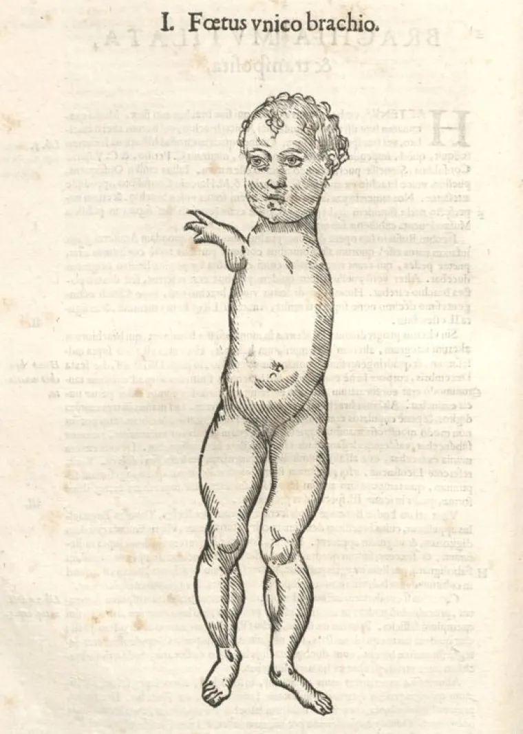 Popis čudovi&scaron;ta prvog prirodoslovca otkriva i neka stvarna bića