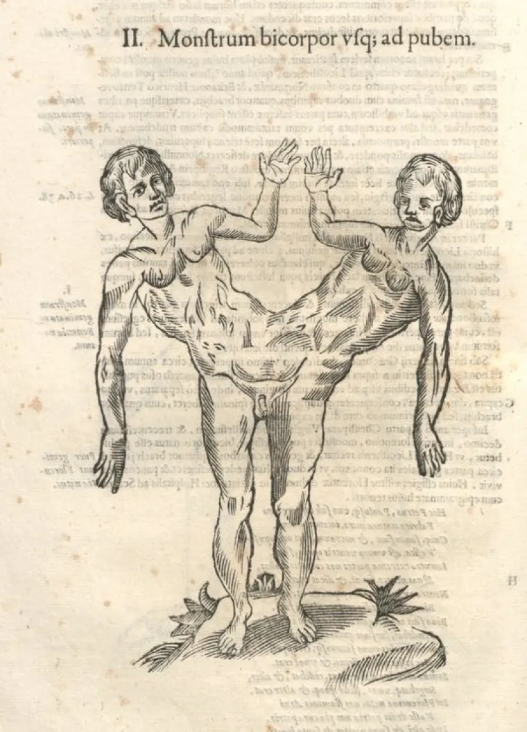 Popis čudovi&scaron;ta prvog prirodoslovca otkriva i neka stvarna bića