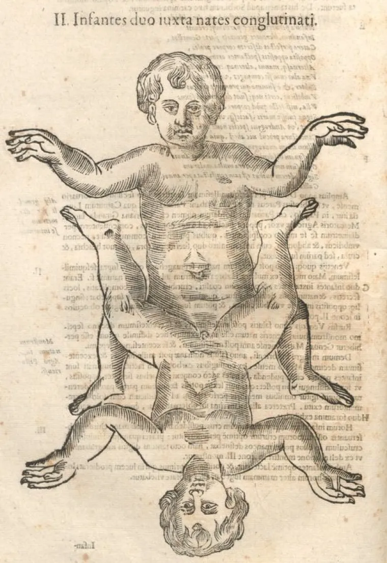 Popis čudovi&scaron;ta prvog prirodoslovca otkriva i neka stvarna bića