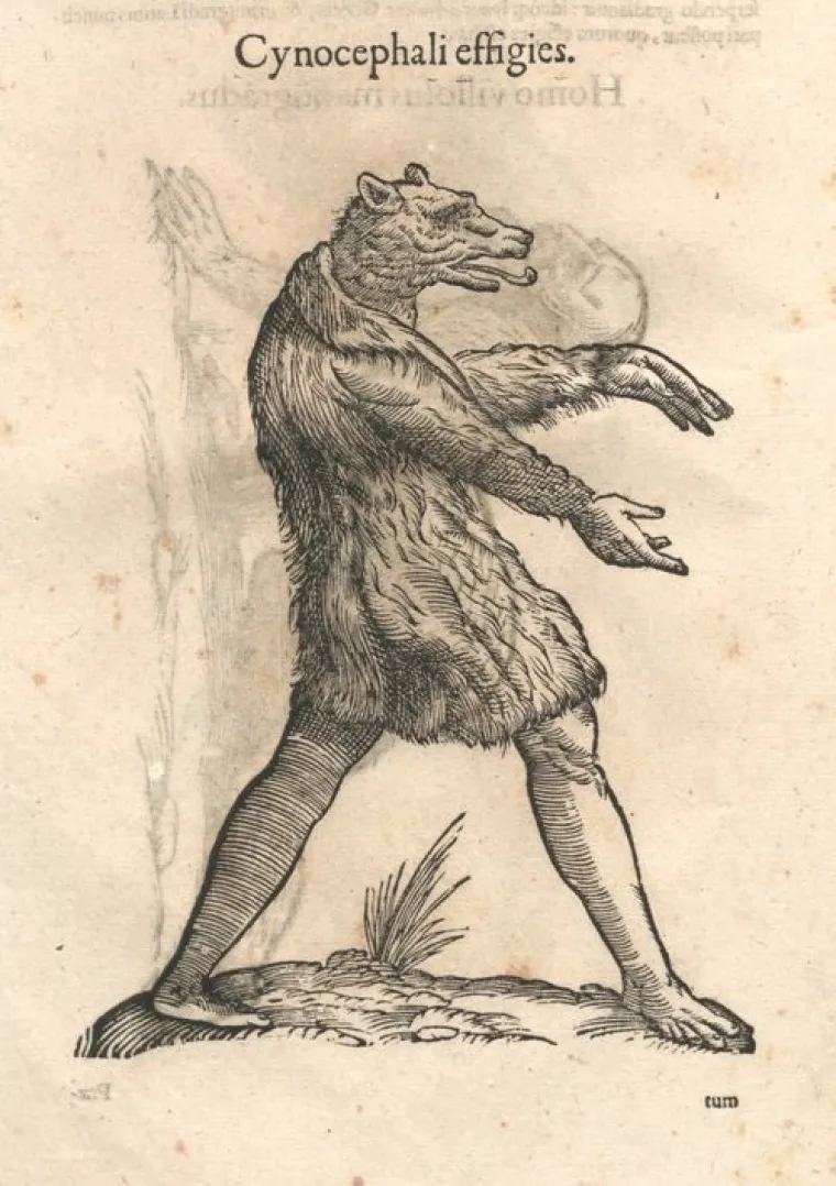 Popis čudovi&scaron;ta prvog prirodoslovca otkriva i neka stvarna bića