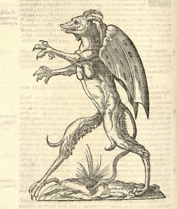 Popis čudovi&scaron;ta prvog prirodoslovca otkriva i neka stvarna bića