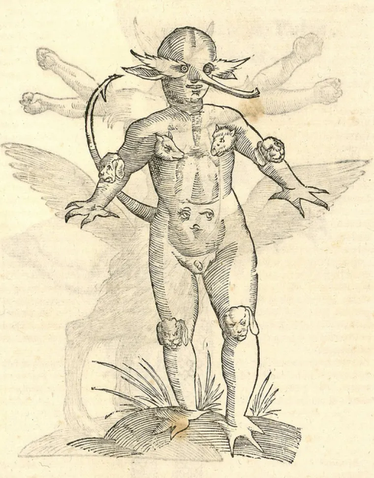 Drvorezi su nastaliu kao ilustracija njegove Povijesti čudovi&scaron;a, knjige iz 16.st