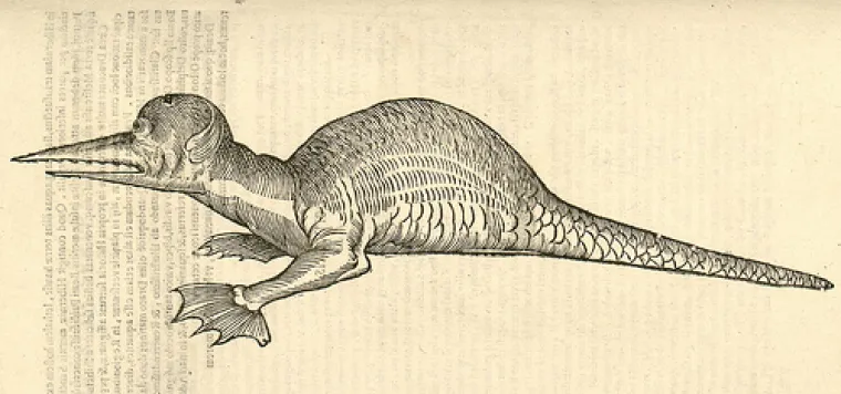 Otac prirodoslovlja s jednakom je ozbiljno&scaron;ću klasificirao ptice, cvijeće i minerale kao i kiklope, krakene te ostala čudovi&scaron;ta.