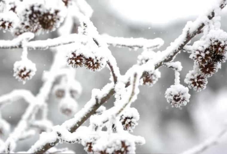 SNJEŽNO JUTRO U ZAGREBU: Zabijelio se centar Sesveta