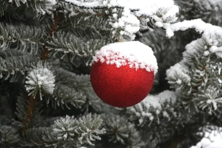 SNJEŽNO JUTRO U ZAGREBU: Zabijelio se centar Sesveta