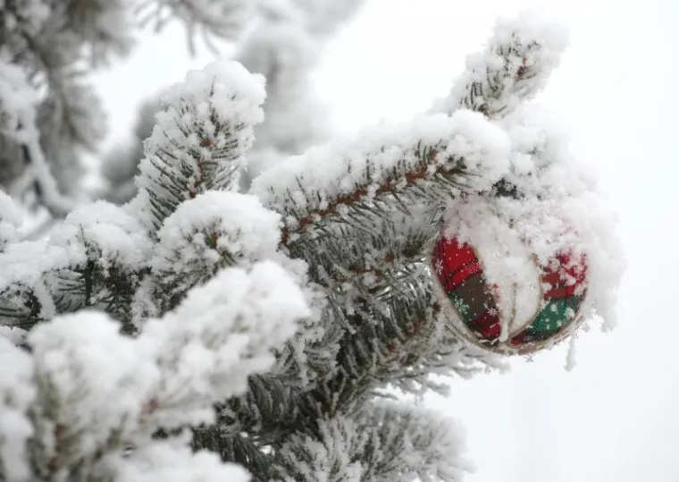 SNJEŽNO JUTRO U ZAGREBU: Zabijelio se centar Sesveta