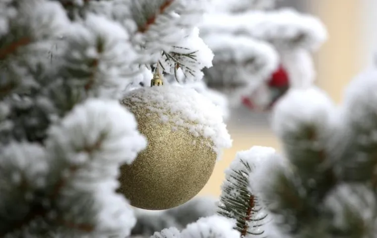 SNJEŽNO JUTRO U ZAGREBU: Zabijelio se centar Sesveta