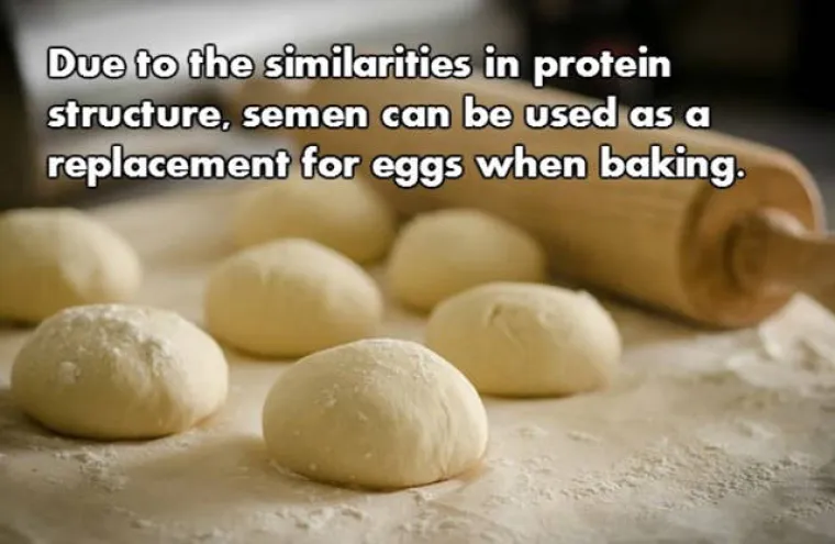 Zbog sličnosti u strukturi proteina, sperma se može koristiti kao zamjena za jaja u pekarskim proizvodima.