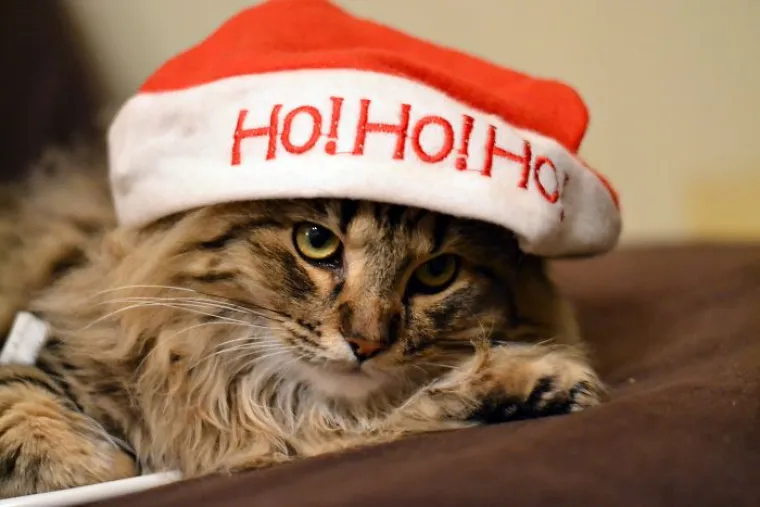 Lijepe dekoracije, svjetla, pokloni i, naravno, ugodno vrijeme sa svojim voljenima &ndash; ima li ičeg boljeg od toga?