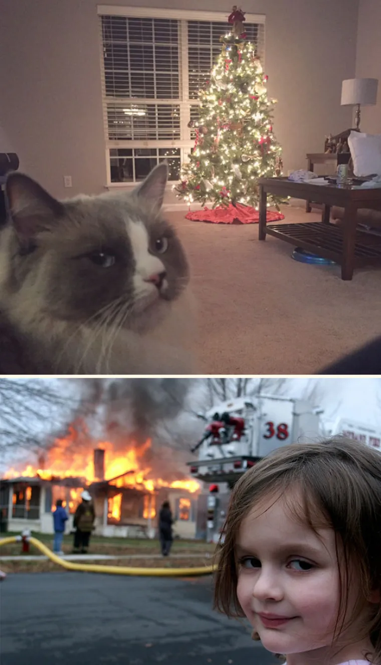 NEKE RADOST ZAOBILAZI U &Scaron;IROKOM LUKU: Ovi kućni ljubimci preziru Božić iz dna du&scaron;e