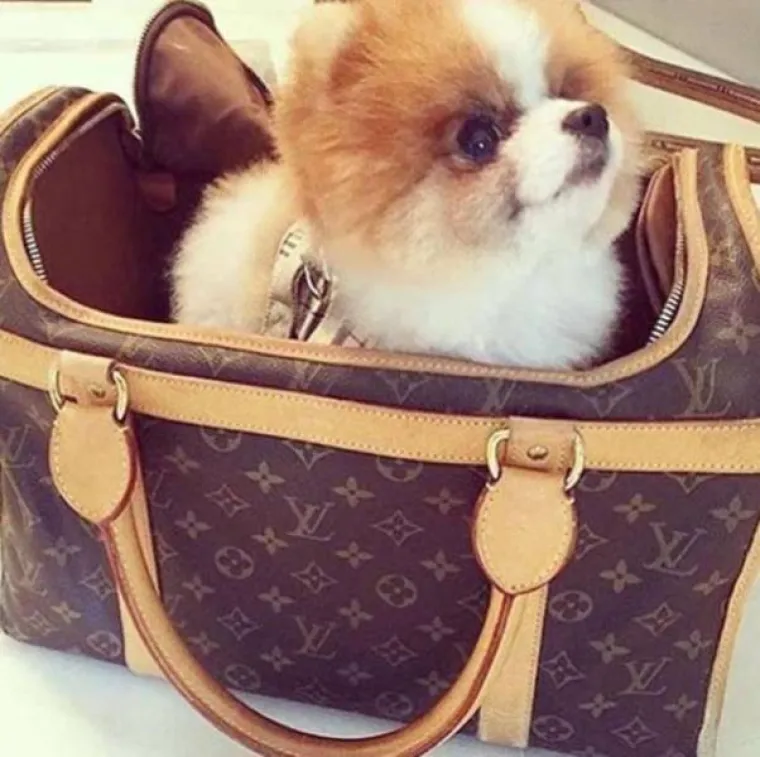 DOK ZEMLJA GORI, KLINCI BOGATA&Scaron;A SE HVALE: Boli njih ona stvar, žive u nekom svojem svijetu