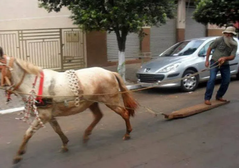 JESU LI MU&Scaron;KARCI S BRADAMA STVARNO MUŽEVNIJI? Okupili smo ih u galeriji kako biste mogli procijeniti sami