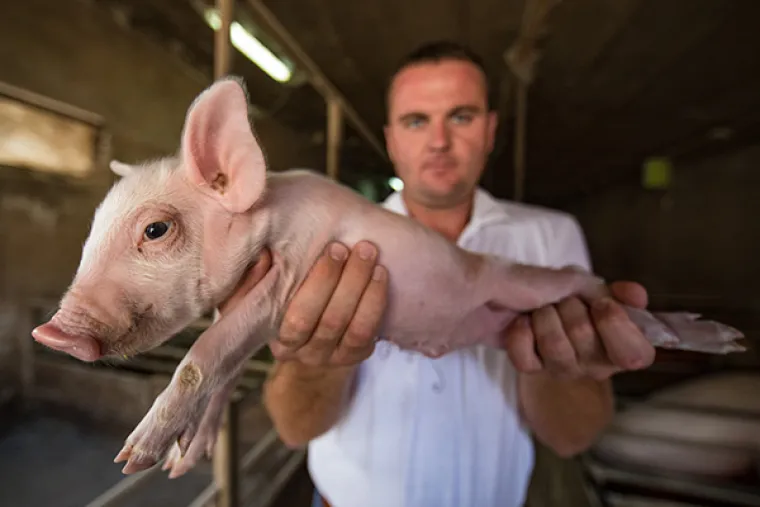 100 NAJBOLJIH FOTOGRAFIJA IZ HRVATSKE U 2016. Prvi dio