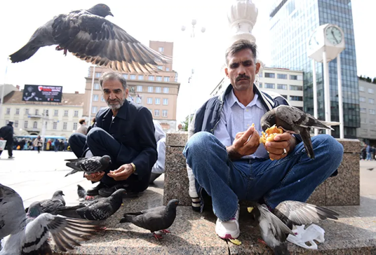100 NAJBOLJIH FOTOGRAFIJA IZ HRVATSKE U 2016. Prvi dio