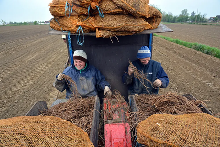100 NAJBOLJIH FOTOGRAFIJA IZ HRVATSKE U 2016. Drugi dio