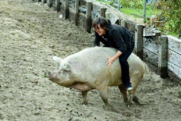 'ZA&Scaron;TO JA NEMAM CURU?' Ovi čudaci misle da su legende, a svi im se smiju