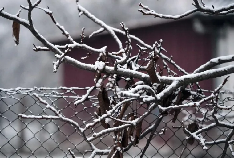 Prvi ovogodi&scaron;nji snijeg prekrio zagrebačke ulice