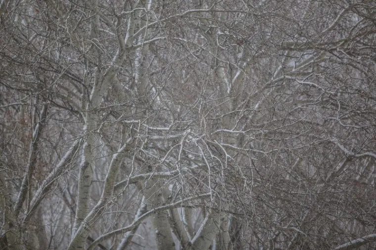 Snježna mećava iznenadila građane Zagreba