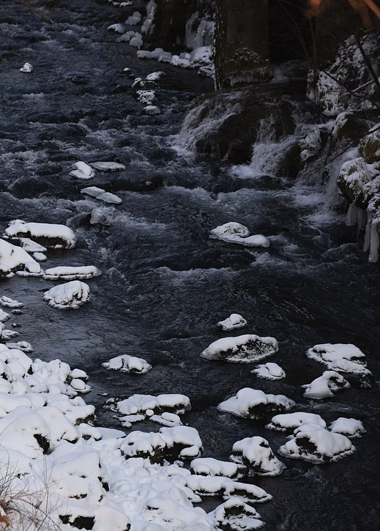 Rastoke zarobljene u ledu