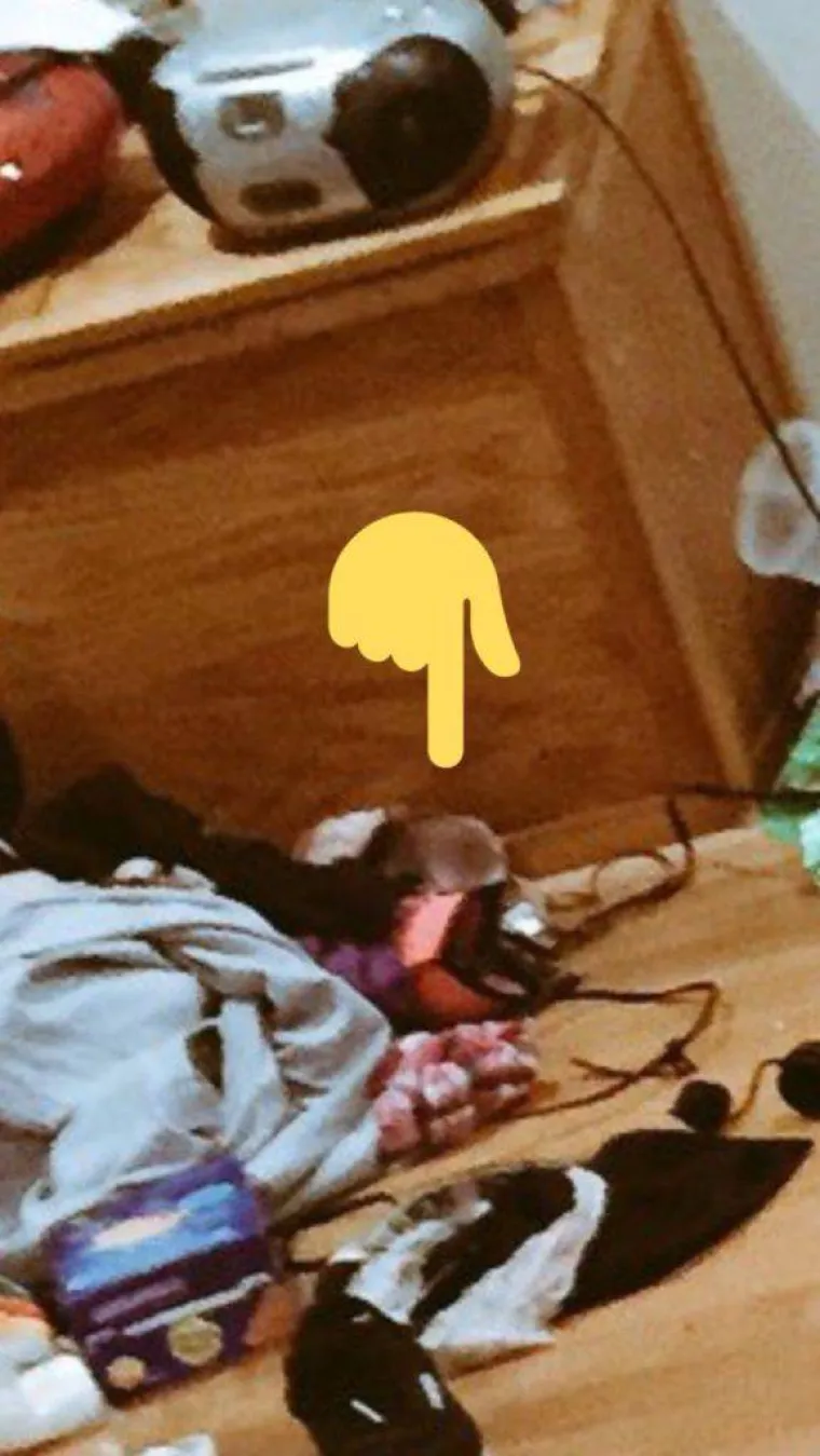 Neki su uočili i štakora...