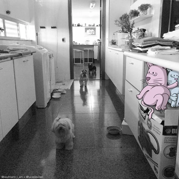 FOTO ULJEZ: Na va&scaron;e fotke dodaje karikature, a rezultat je urnebesan