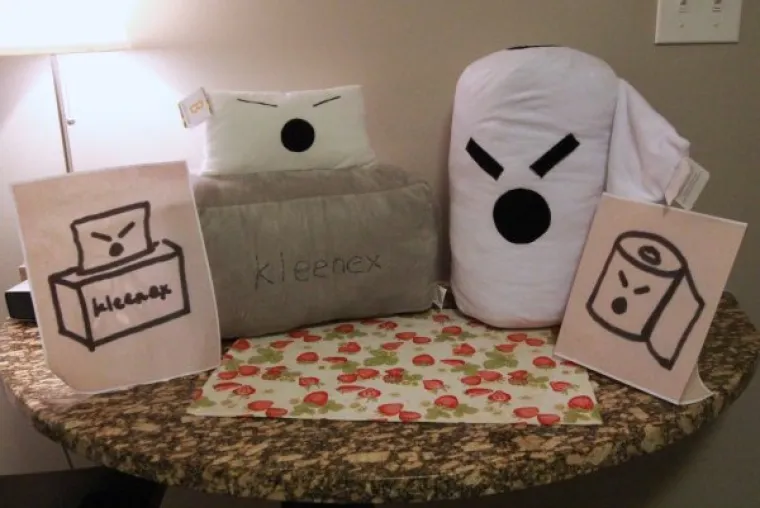 NJIMA BI TREBALO ZAKONOM ZABRANITI UREĐIVANJE: Uzeli stvar u svoje ruke i napravili cirkus od svojih domova