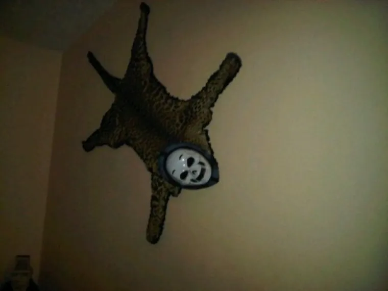 NJIMA BI TREBALO ZAKONOM ZABRANITI UREĐIVANJE: Uzeli stvar u svoje ruke i napravili cirkus od svojih domova