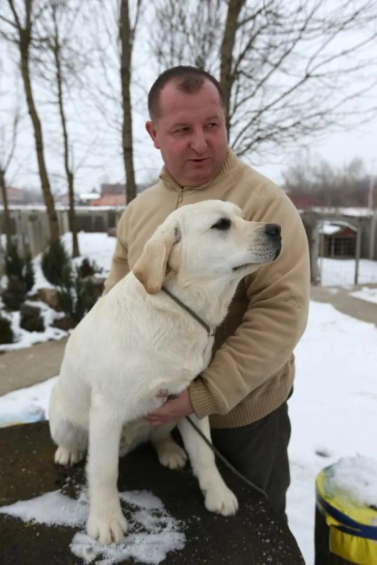 NAJLJEPŠI LABRADOR U KINI: Šampion Picasso obitelji Hemen