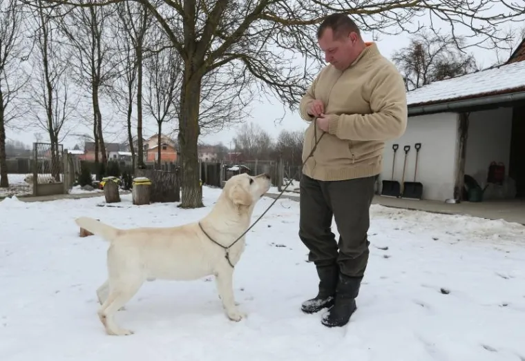 NAJLJEPŠI LABRADOR U KINI: Šampion Picasso obitelji Hemen