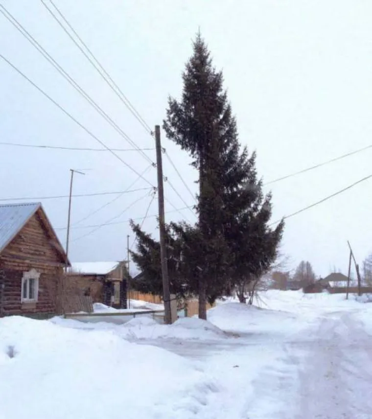 SAMO ČUDACI ILI JE TO GENETSKI POREMEĆAJ? Ruskim ludostima nikad kraja, samo je pitanje tko je krivac