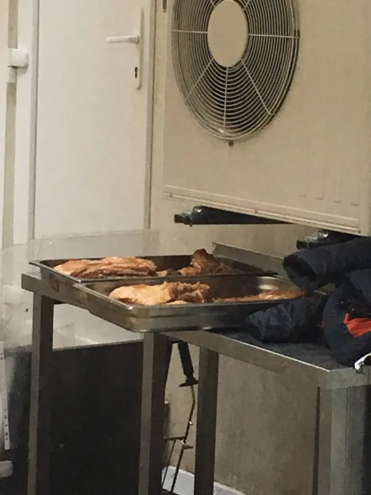 SKANDAL: Pogledajte jezive uvjete u kojima poznati zagrebački restoran drži hranu