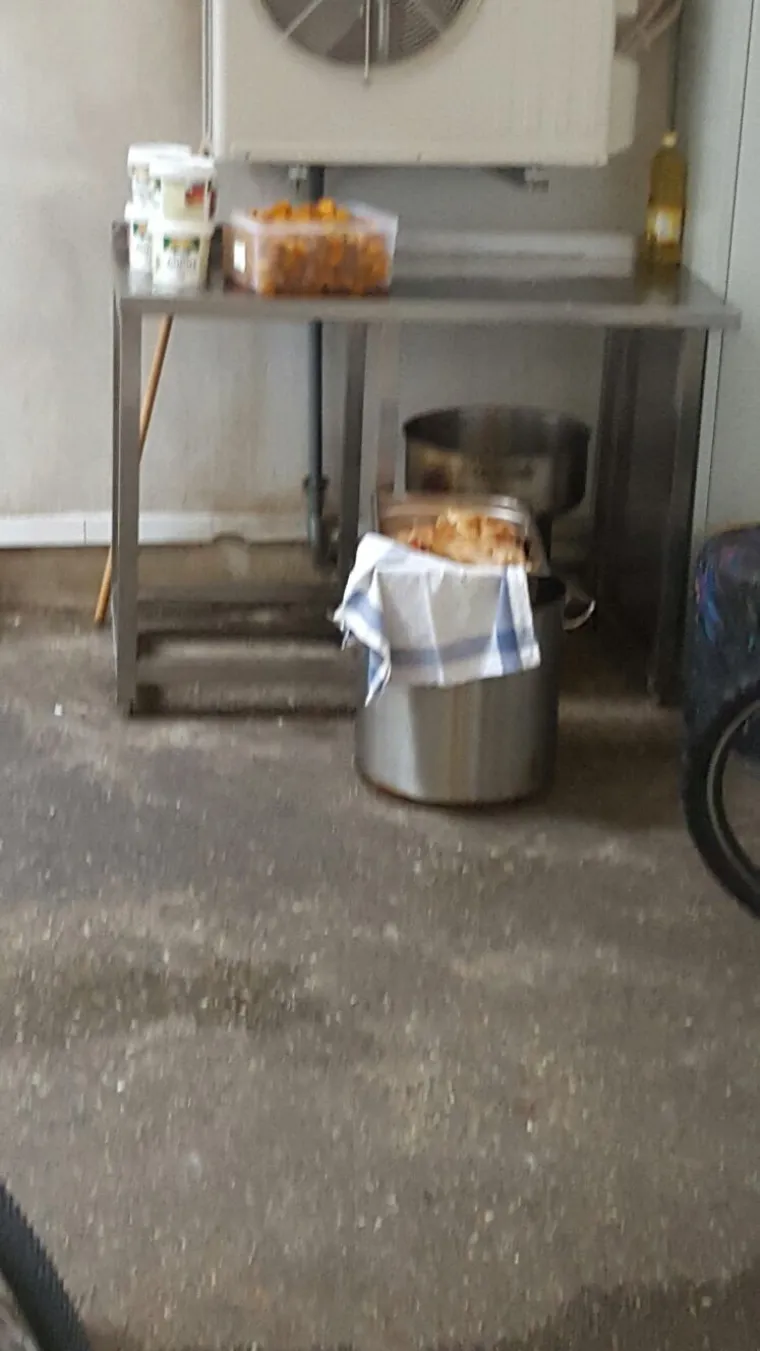 SKANDAL: Pogledajte jezive uvjete u kojima poznati zagrebački restoran drži hranu