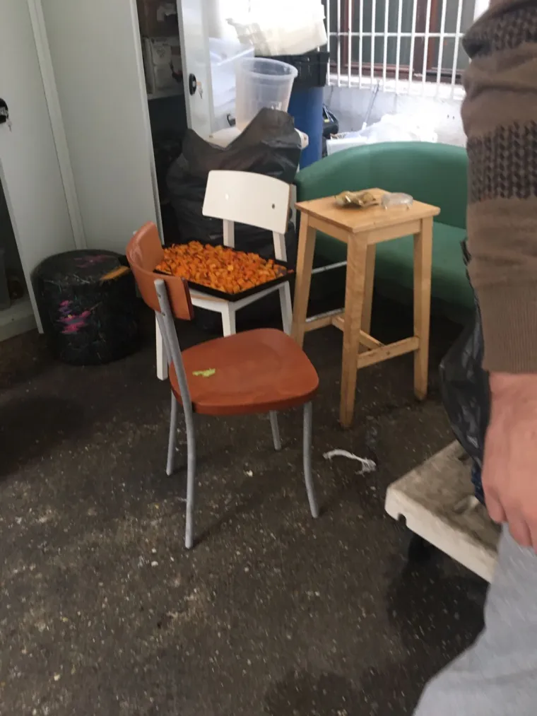 SKANDAL: Pogledajte jezive uvjete u kojima poznati zagrebački restoran drži hranu