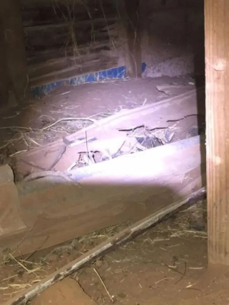 IZ &Scaron;KOLJKE IZMIGOLJILA ČEGRTU&Scaron;A: Tek onda je uslijedio pravi horor