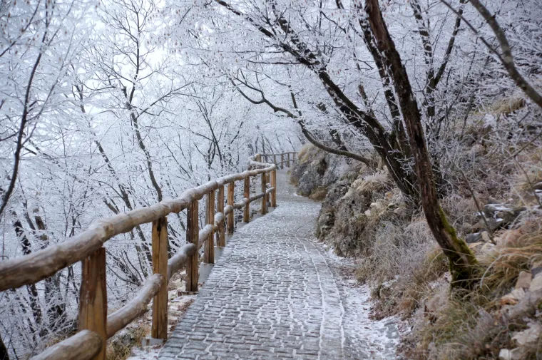 Prava ruta: Izlet na Plitvice